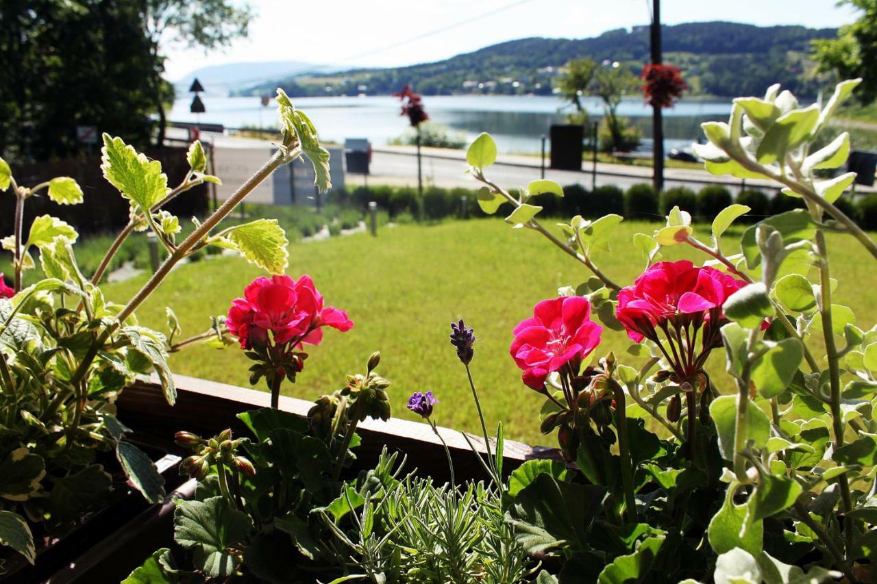Koszarka Venue & Spa Gródek Nad Dunajcem Buitenkant foto